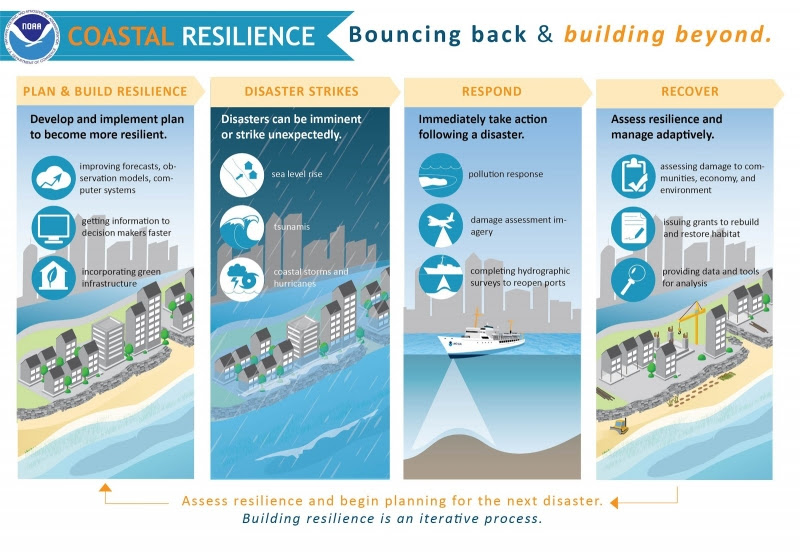 A graphic depicting coastal resilience phases.