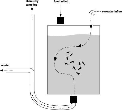 Diagram: A toxicity test apparatus.