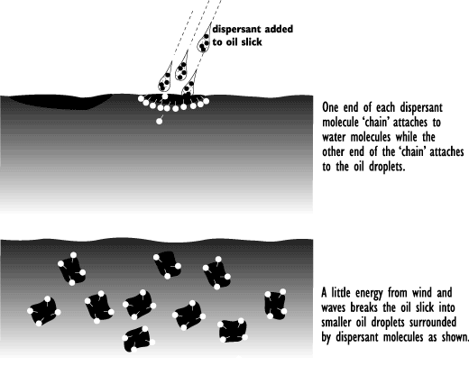 Diagram: Oil droplets are surrounded by dispersant modecules.