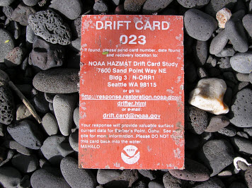  A weathered, orange drift card on a cobble beach.