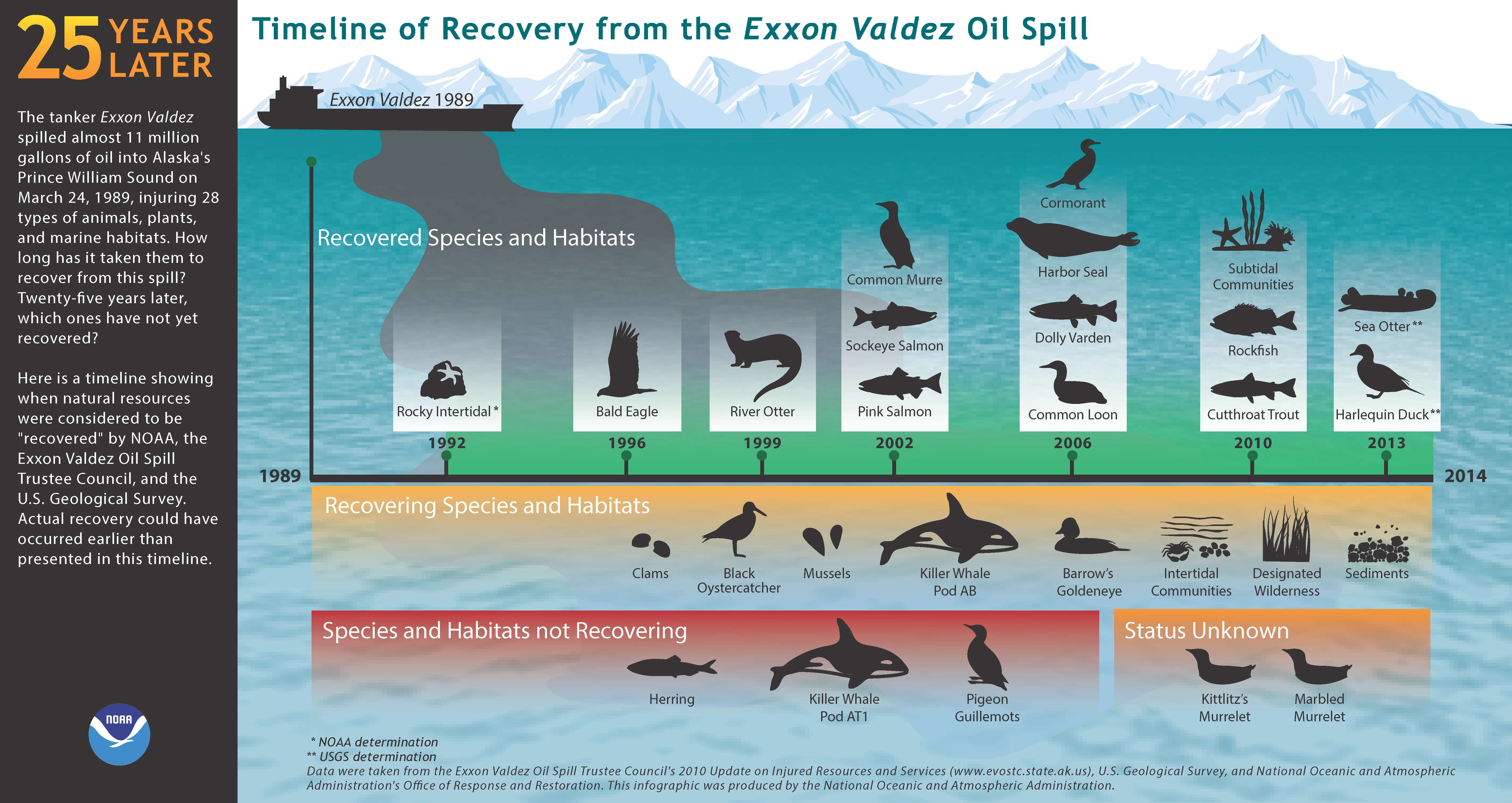 Has Prince William Sound Recovered From the Spill? response