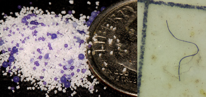 Left: Tiny white and purple beads piled next to a dime. Right: Blue and white plastic fibers viewed under a microscope.