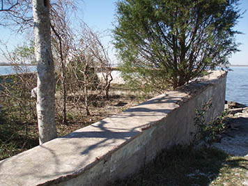 Trees grow up through a remnant of a swimming pool in the former Brownwood subdivision, which today is the Baytown Nature Center. The area will be converted into marsh habitat, but this pool will be left in place as a reminder of the history of this site.