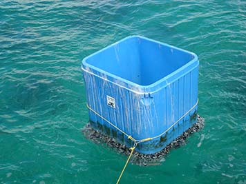 A closeup of the seafood storage bin from Japan found near Oahu and encrusted with marine life.