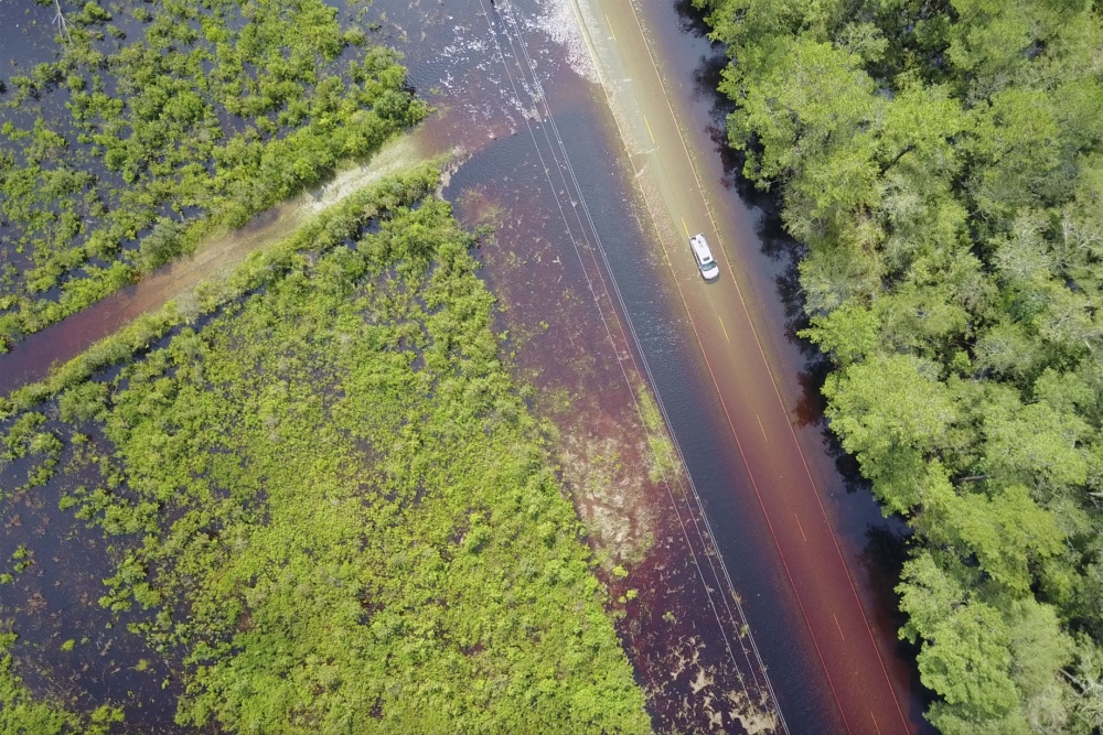 An aerial image of a vehicle driving down a flooded road with flooded forest to both sides. 