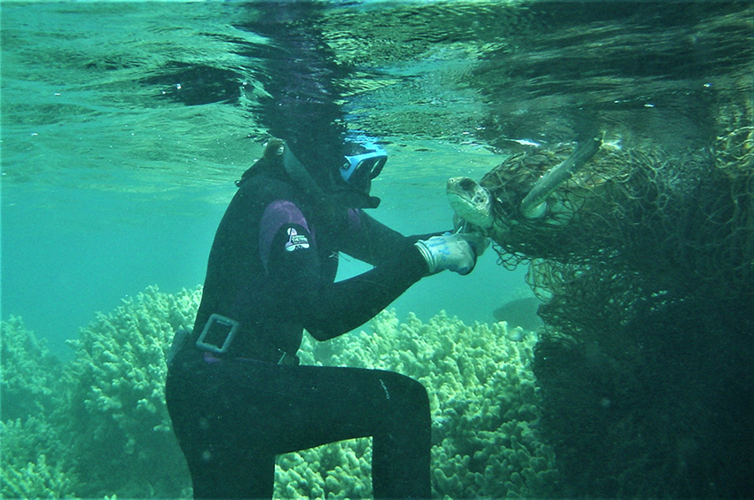 A diver removing a sea turtle from a marine net.