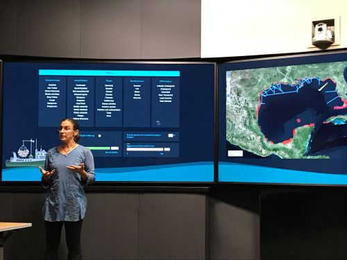Woman speaking in front of a double screen.
