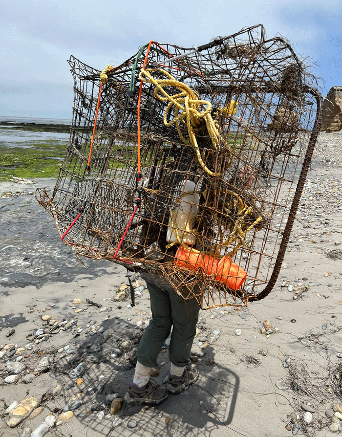 A person carrying derelict fishing gear across a beach.