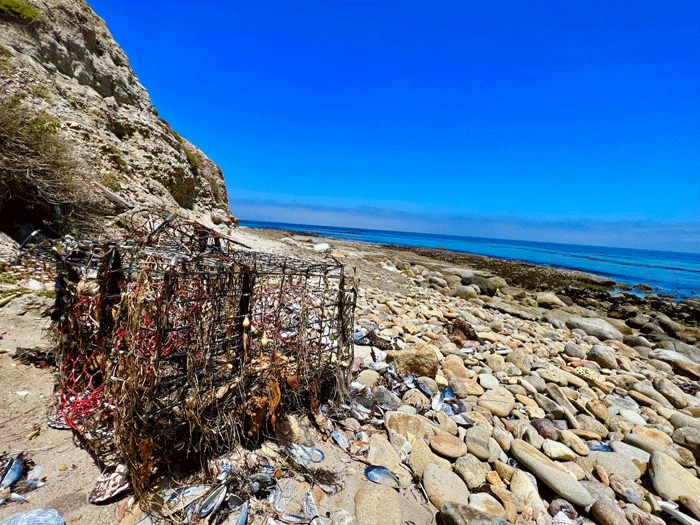 Lost fishing gear on a rocky beach.