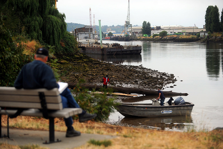 A river shoreline with boating activity.