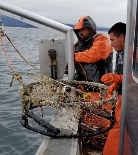 Two people on a boat with a crab pot.