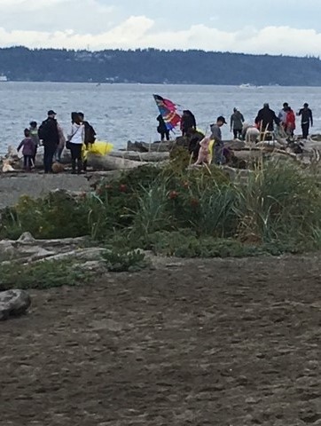 People collecting debris on a beach.