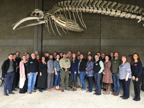 Large group of people pose for photo under a hanging whale skeleton.