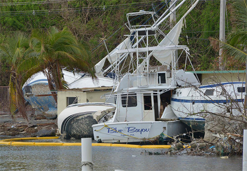 Several wrecked sailboats and other vessels at the water's edge. 