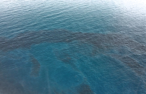 Aerial view of Gulf of Mexico with oil on the water's surface. 