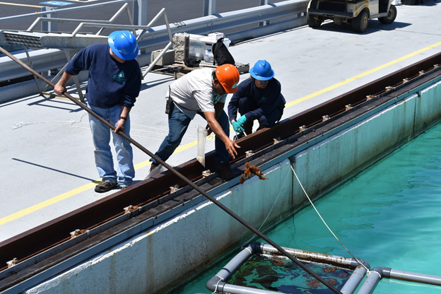 People work on a test from the side of a pool.