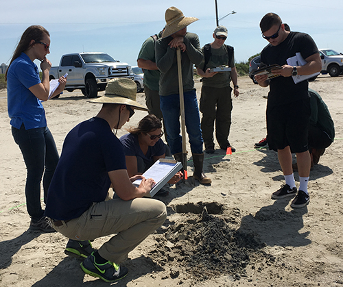 Group of people digging in sand on a beach.