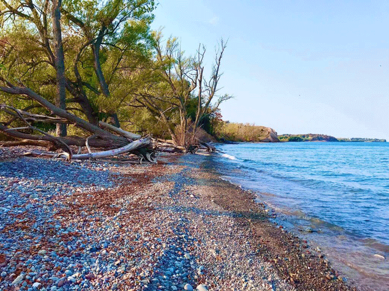 A shoreline.