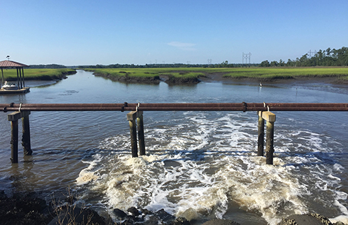 Body of water with marsh in background.