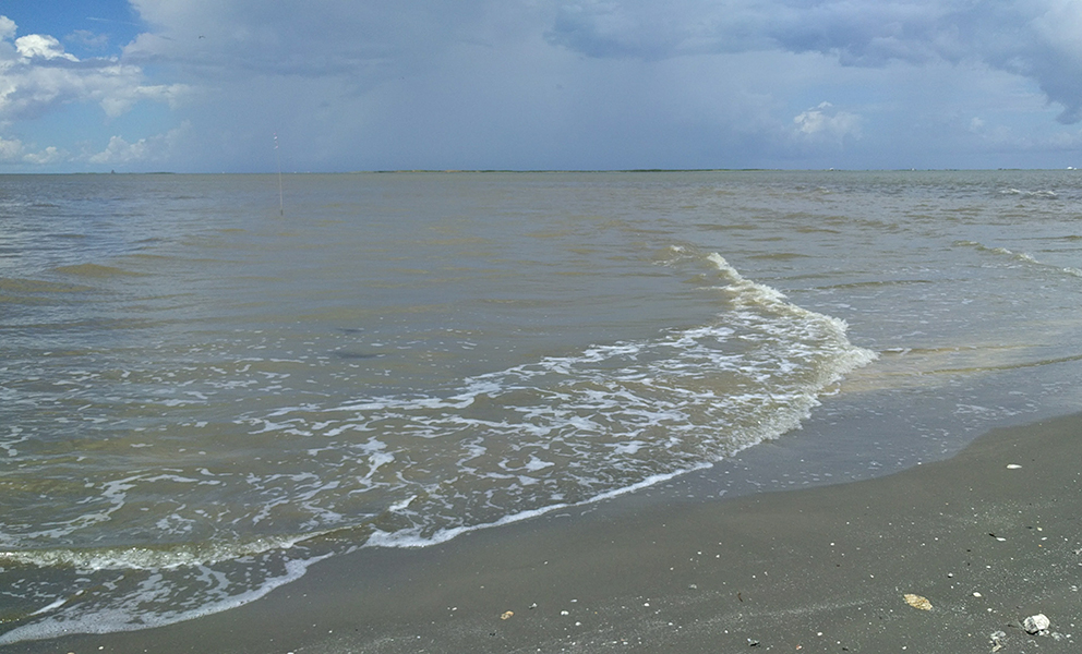 Beach with large body of water in background.