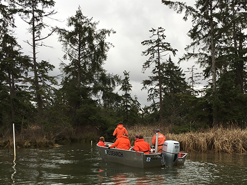 People in a small boat in the water with marsh in background.