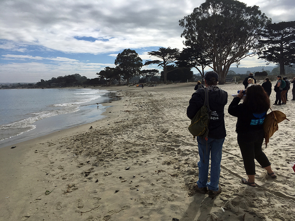 A group of people look down the shoreline of a sandy beach lined with trees. 