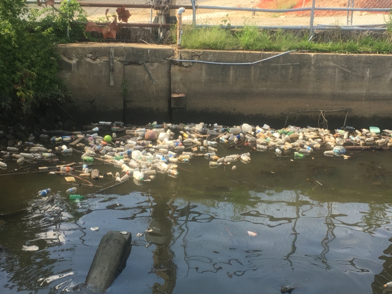 Plastic bottles and other debris in an urban waterbody.