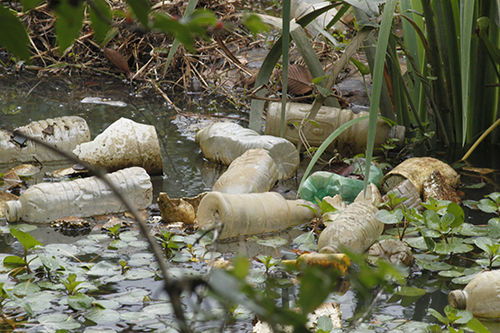 Close up photo of trash outdoors.