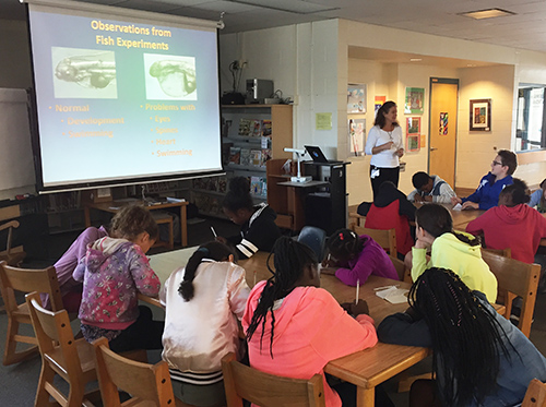 Students look at a projection on a screen.