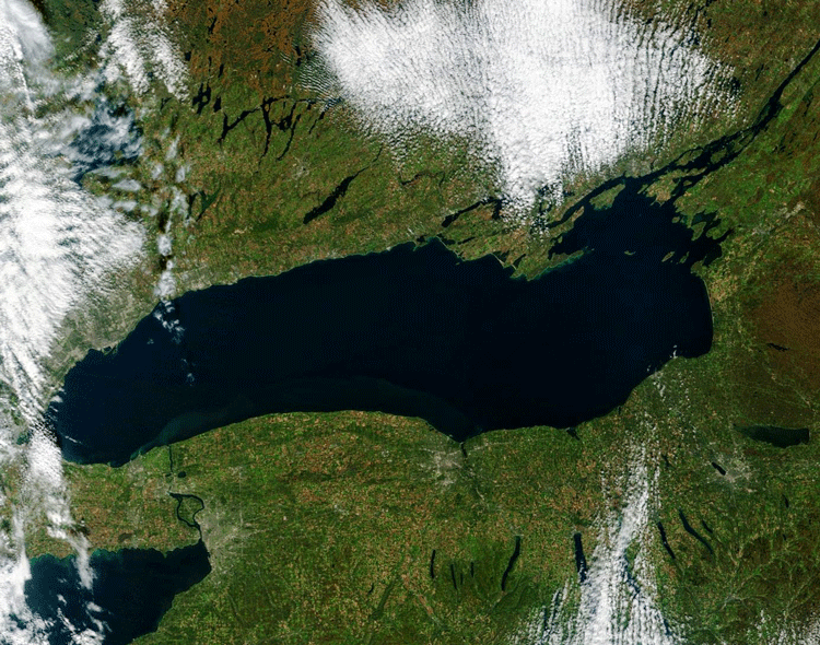 A satellite image of a lake.