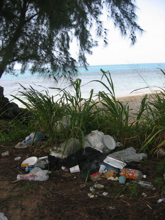 Trash on a beach.