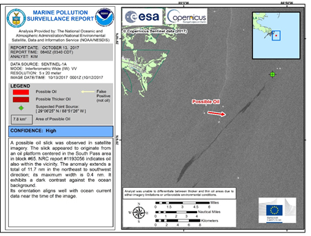 Screen capture of a Marine Pollution Surveillance Report.