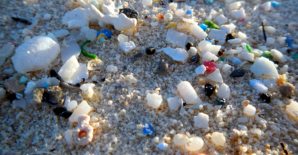 Tiny pieces of plastic laying in sand.