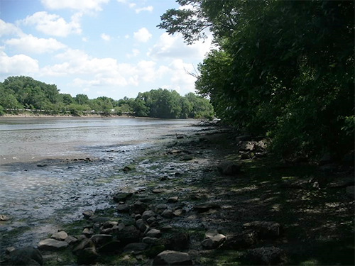 View of a river from its banks.