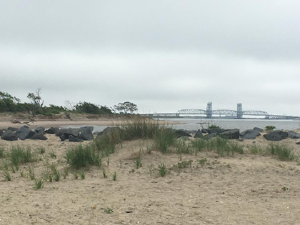 Beach with dune grass.