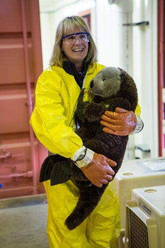 A woman holding a fake otter.