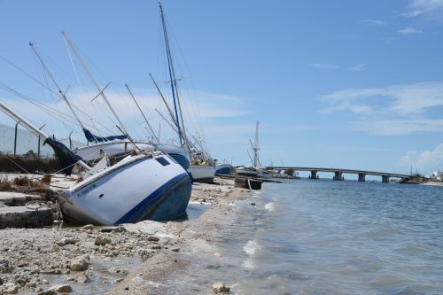A row of beached, derelict vessels on a shoreline with a bridge in the background.