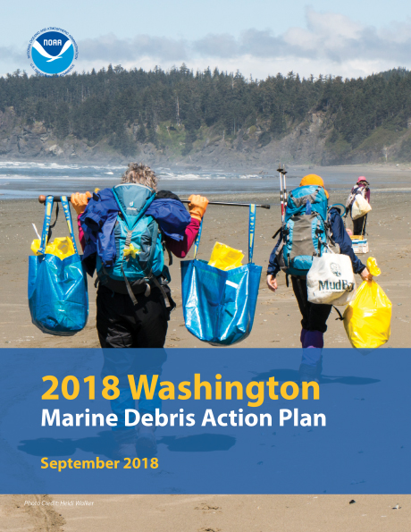 Cover of a report showing individuals carrying bags of marine debris.