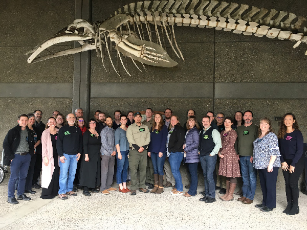 Large group posing under a mounted whale skeleton.