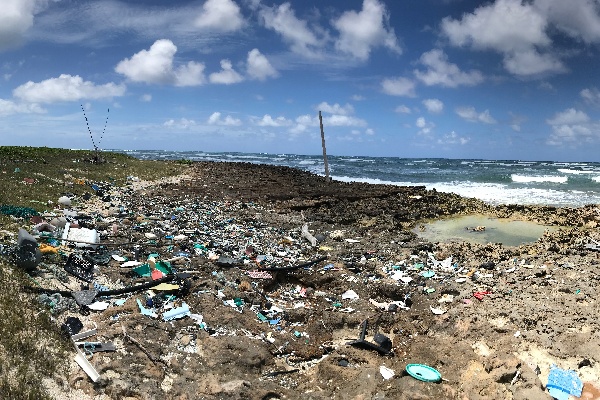 Beach scene with debris on the sand.