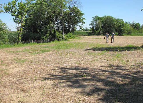 A dry field with two people in background.