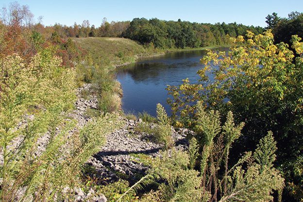 River with vegetation along the banks.