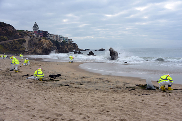 Workers cleaning up a beach.