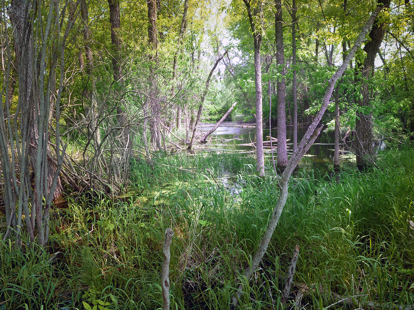 A landscape photo of a wooded area with a river going through it. 