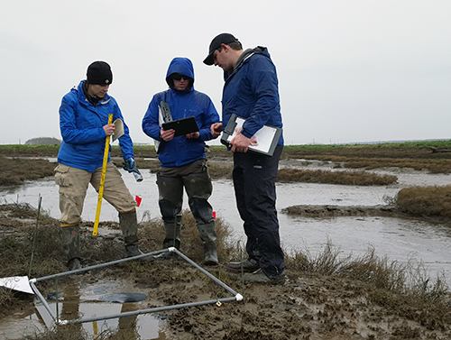 Three people doing sampling in a sandy area.