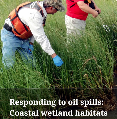 Two men working in a marsh.