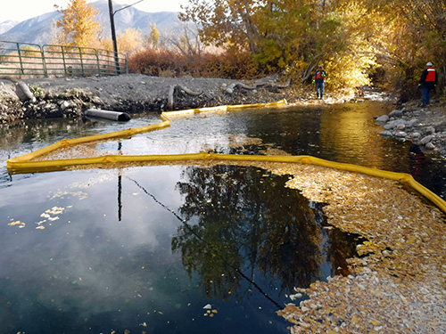 Body of water with a yellow substance floating on it. 