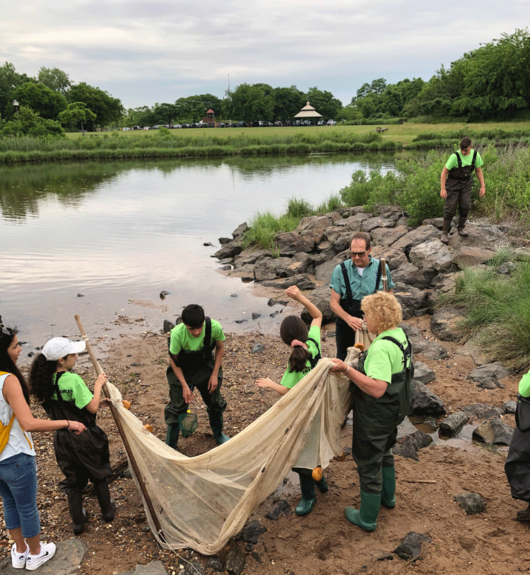 A group of people with seining nets on a shoreline.