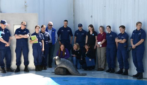 Group of people pose with a seal.