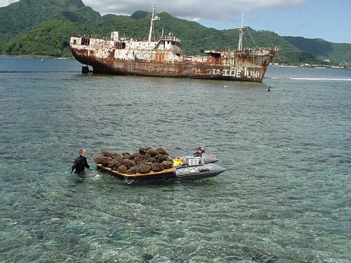 A woman standing next to a boat with corals on it and a derelict vessel in the background.